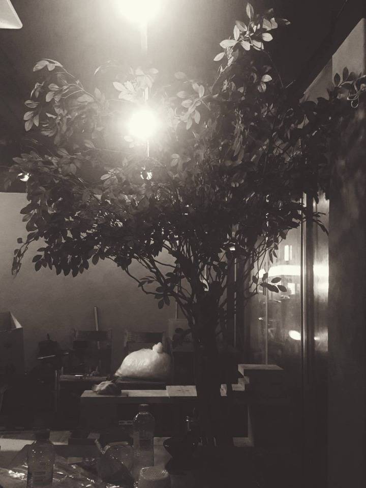 노트5로 찍은 사진들5 | 인스티즈