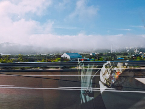 20년간 여름휴가를 해외로만 다닌 사람의 국내 휴가여행기 | 인스티즈