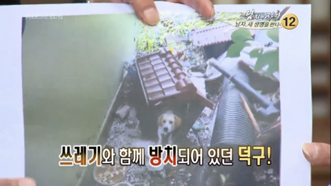 김국진과 반려견 덕구 | 인스티즈