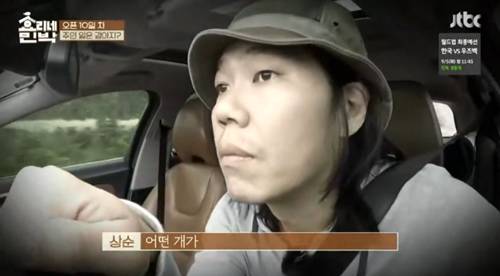 [효리네민박] 길에서 만난 강아지. jpgif | 인스티즈