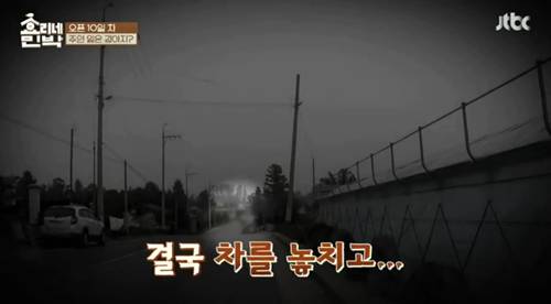 [효리네민박] 길에서 만난 강아지. jpgif | 인스티즈