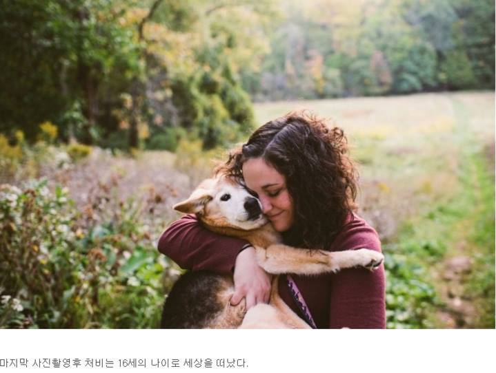 반려견과의 만남과 이별 과정.jpg | 인스티즈