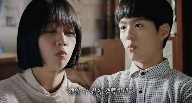 응답하라 1988 종영기념.. 덕선 ♡ 택이 gif 모음.. | 인스티즈