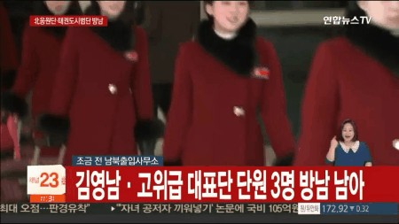 북한 응원단.gif | 인스티즈