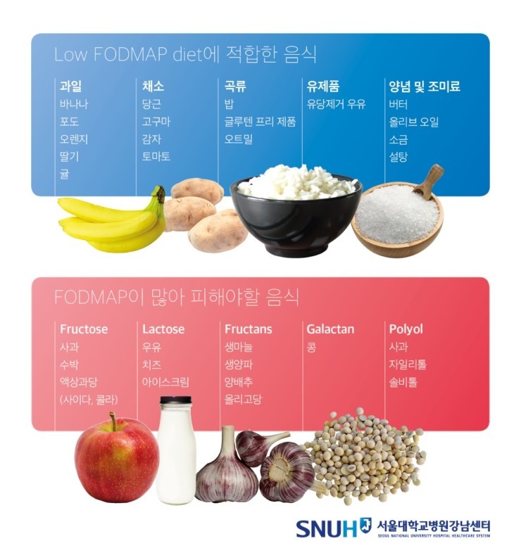 과민성대장증후군을 위한 저포드맵 식단 | 인스티즈