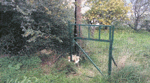 나만 없어 고양이 나만... | 인스티즈