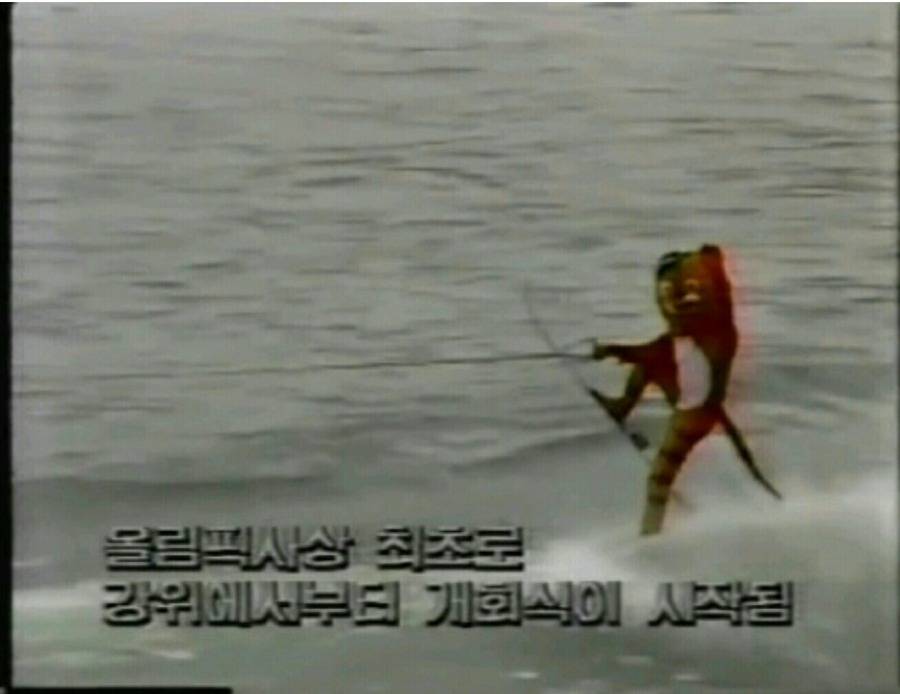 88올림픽 마스코트 호돌이 - 인스티즈(instiz, 音思提资) 스포츠 [스포츠] 88올림픽 마스코트 호돌이