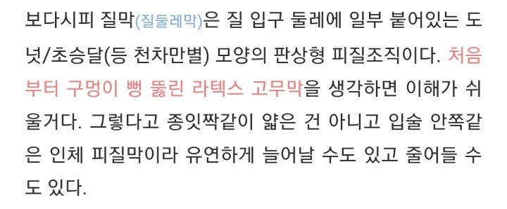 너네 * 쳐녀막 대체어 * 프로젝트 진행된거 혹시 알고 있니?(성에 대해 궁금하고 무지해도 다 들어와라) | 인스티즈