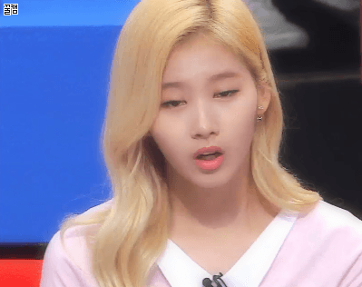 놀라는 사나도 탱. 샤샤샤 | 인스티즈