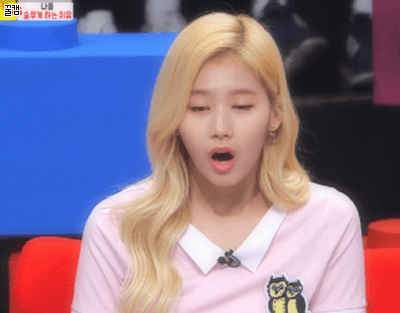 놀라는 사나도 탱. 샤샤샤 | 인스티즈