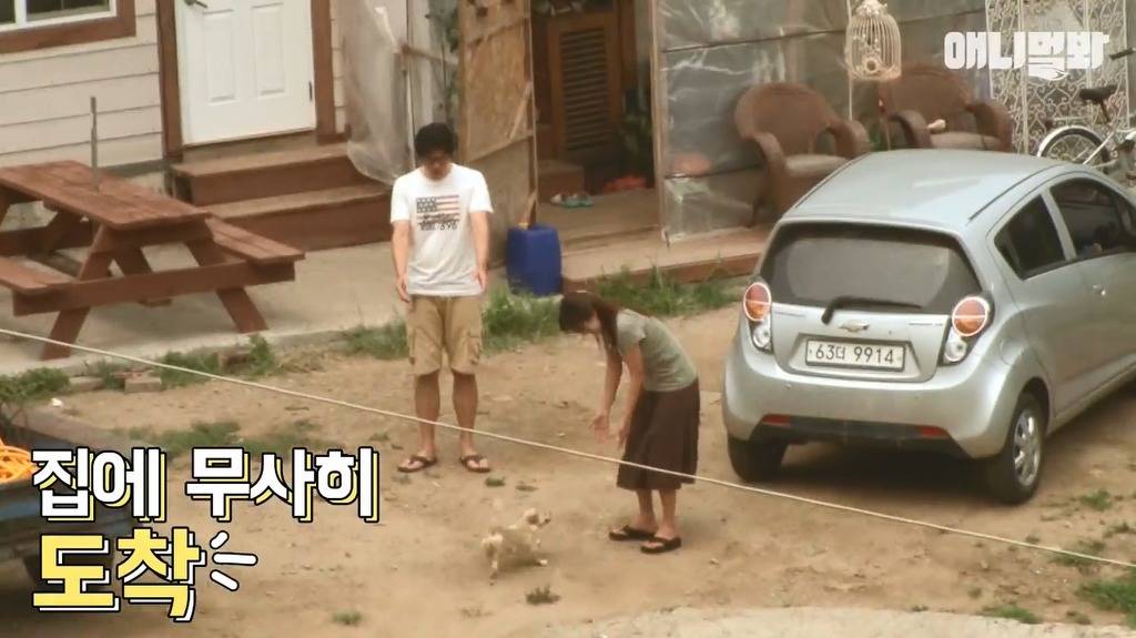 혼자 버스타고 지인 만나러가는 강아지 | 인스티즈