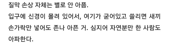 너네 * 쳐녀막 대체어 * 프로젝트 진행된거 혹시 알고 있니?(성에 대해 궁금하고 무지해도 다 들어와라) | 인스티즈