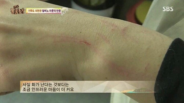 동물농장에 나온 여자 사육사 | 인스티즈