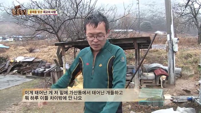 동물농장 최대의 스캔들 카사노바 상동이, 그 이후 | 인스티즈