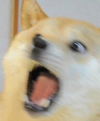 트와이스 사나 특징.gif | 인스티즈