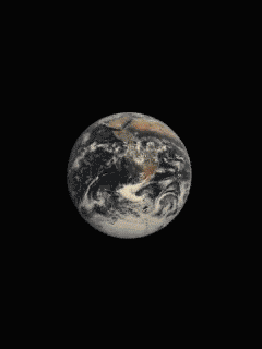 대통령 밀치고 멍게사러감의 전말과 결말 | 인스티즈