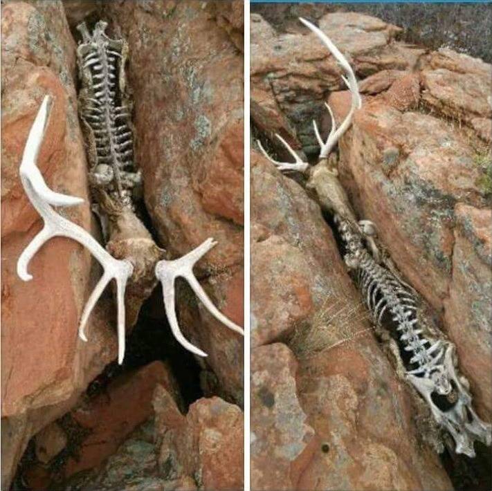 보기만 해도 절망감과 공포가 전해지는 사진 | 인스티즈