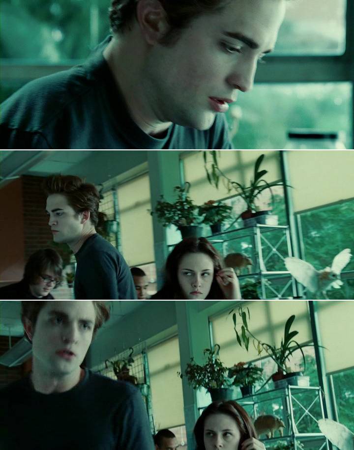 [영화] 얼음보다 차갑고 빛보다 빠른 그들이 온다. 트와일라잇 1 | 인스티즈