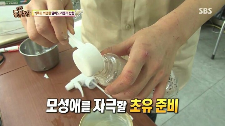 동물농장에 나온 여자 사육사 | 인스티즈