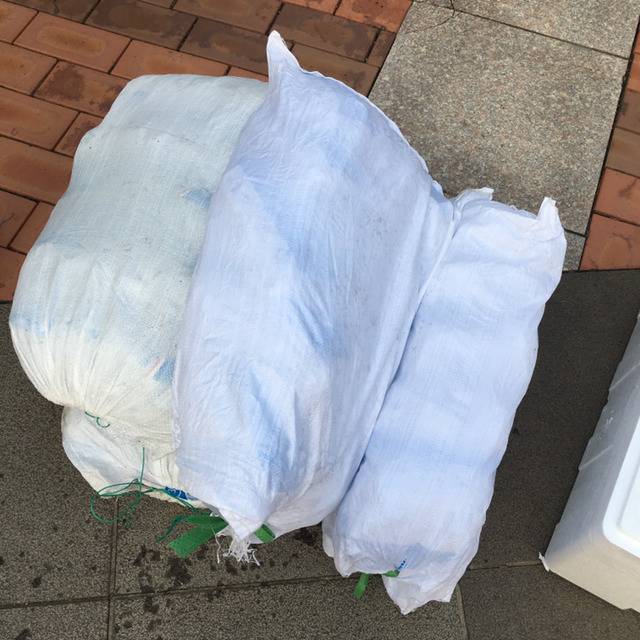 오늘자 언냐들 폭식투쟁 | 인스티즈