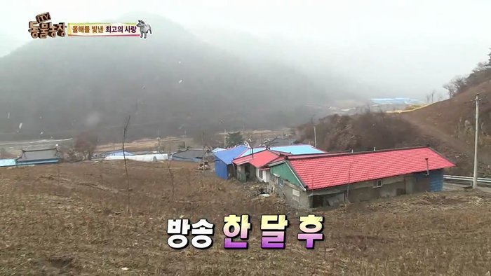 동물농장 최대의 스캔들 카사노바 상동이, 그 이후 | 인스티즈