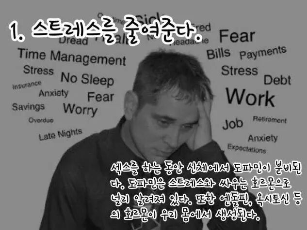 섹스를 매일해야하는 16가지 이유 | 인스티즈