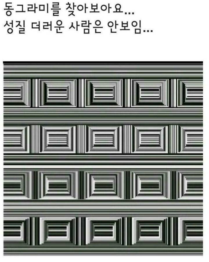 성질급한 사람들에게는 안보이는 동그라미 | 인스티즈