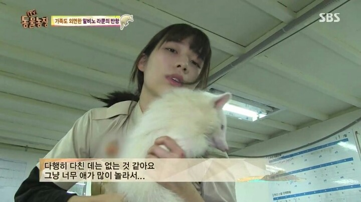 동물농장에 나온 여자 사육사 | 인스티즈