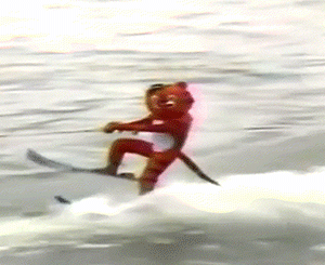 호돌이 스웩.gif | 인스티즈