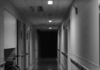 [공포/노약자주의] 가장 공포스러운 상황은?.gif | 인스티즈