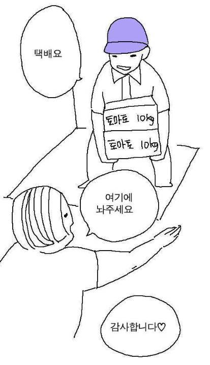 토마토 다이어트를 하는데 살이 안 빠진다 | 인스티즈