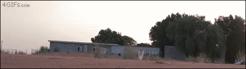 나만 없어 고양이 나만... | 인스티즈