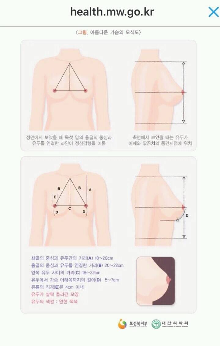 아름다운 가슴의 기준 | 인스티즈