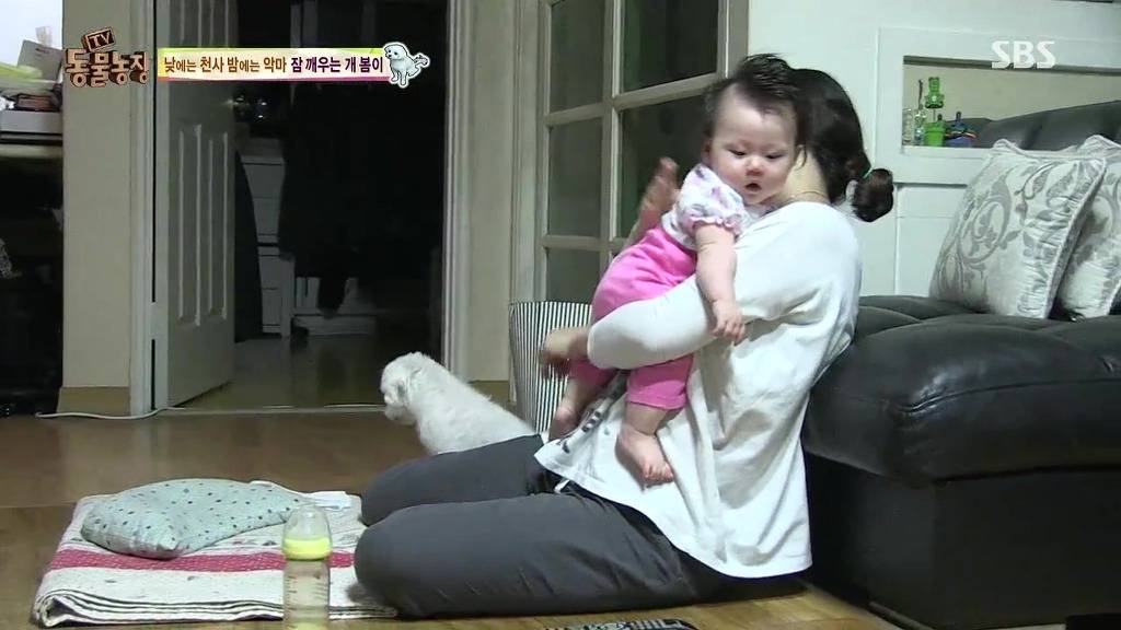 [동물농장] 새식구 들어온 후 우울해진 봄이.jpg | 인스티즈