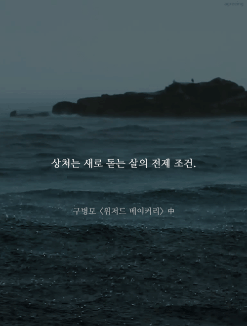 자존감이 낮은 당신에게 필요한 명언 13가지 | 인스티즈