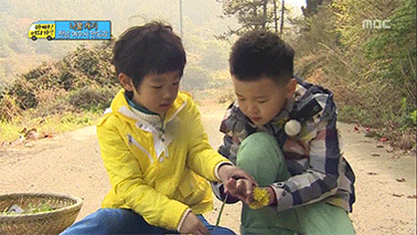 [아빠어디가] 어떻게 붙여놔도 캐미터지는 후네와 준수네 | 인스티즈