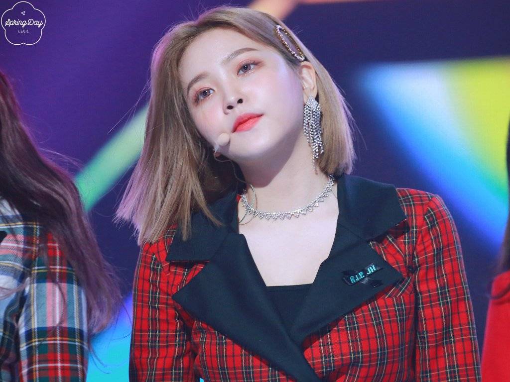 [레드벨벳] 스무살 예리를 축하해주는 훈훈한 언니들 | 인스티즈