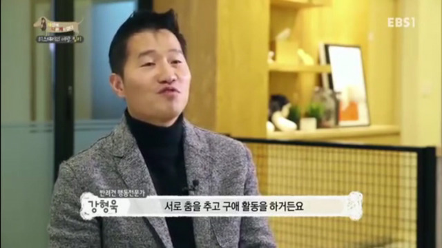 인간에 의해 강제교배당하는 강아지들(부제:강제교배는 강간과 다름없다) | 인스티즈