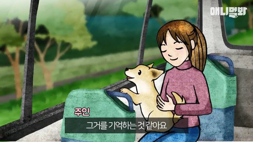 혼자 버스타고 지인 만나러가는 강아지 | 인스티즈