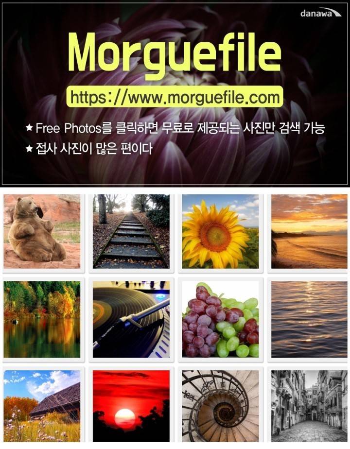 저작권 걱정없는 무료 이미지사이트 best 10 | 인스티즈