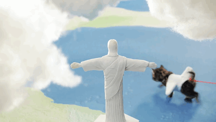 세계 여행하는 고양이들.gif | 인스티즈