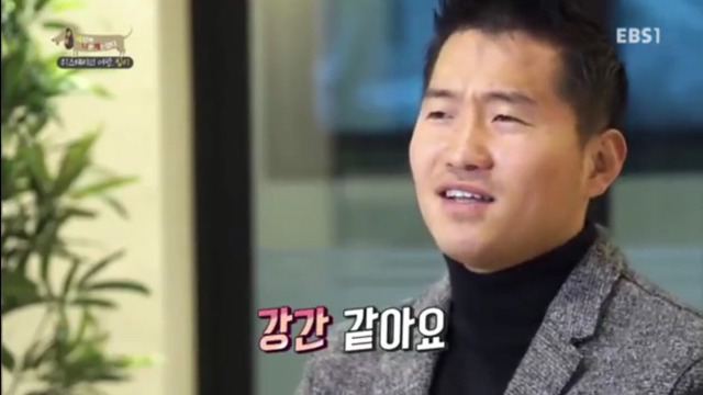 인간에 의해 강제교배당하는 강아지들(부제:강제교배는 강간과 다름없다) | 인스티즈