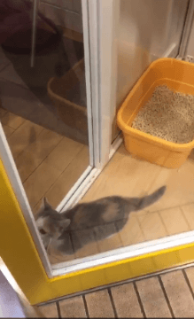 나만 없어 고양이 나만... | 인스티즈