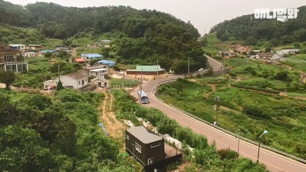 혼자 버스타고 지인 만나러가는 강아지 | 인스티즈