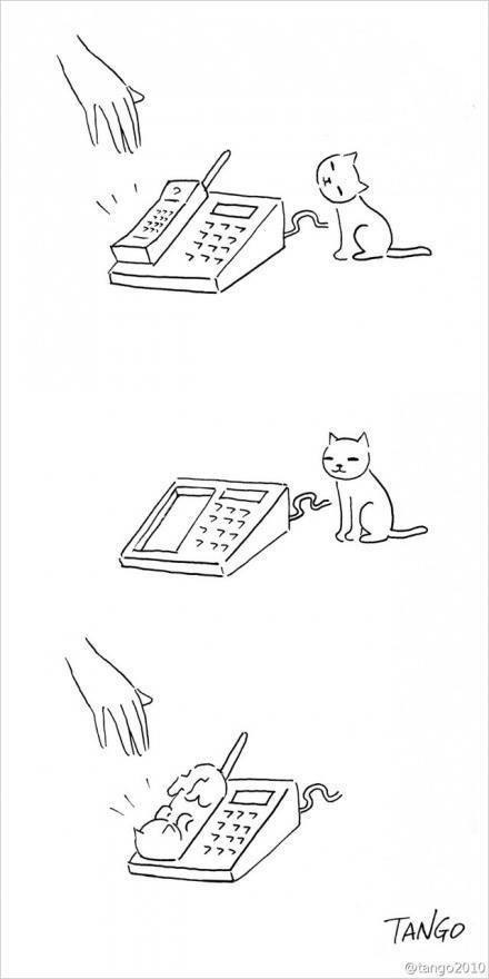 냥이 일러스트 | 인스티즈