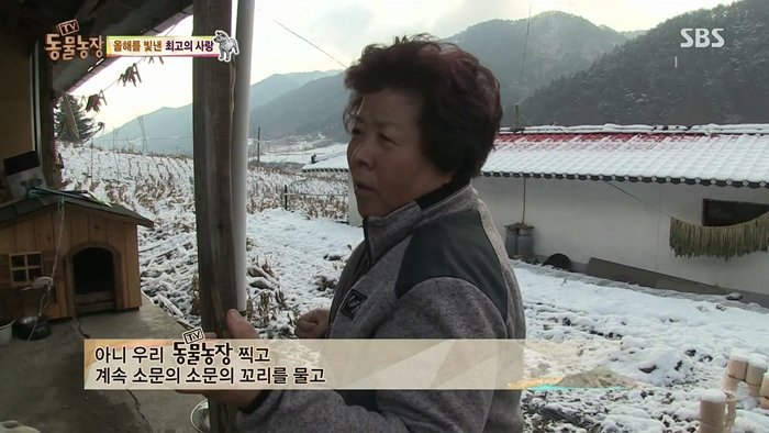 동물농장 최대의 스캔들 카사노바 상동이, 그 이후 | 인스티즈