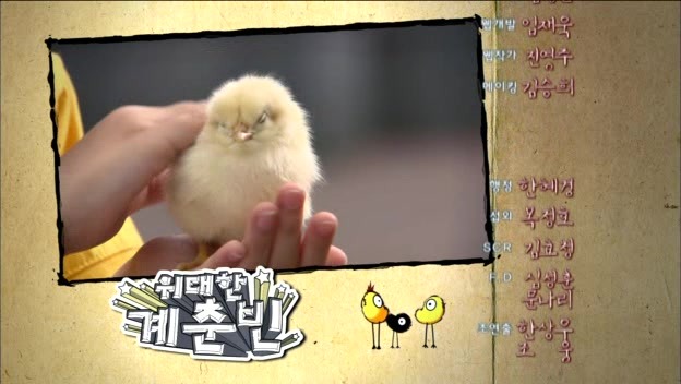 [단막극] 그만 모르는, 세상에서 가장 특이한 짝사랑정경호, 정유미 주연위대한 계춘빈 | 인스티즈