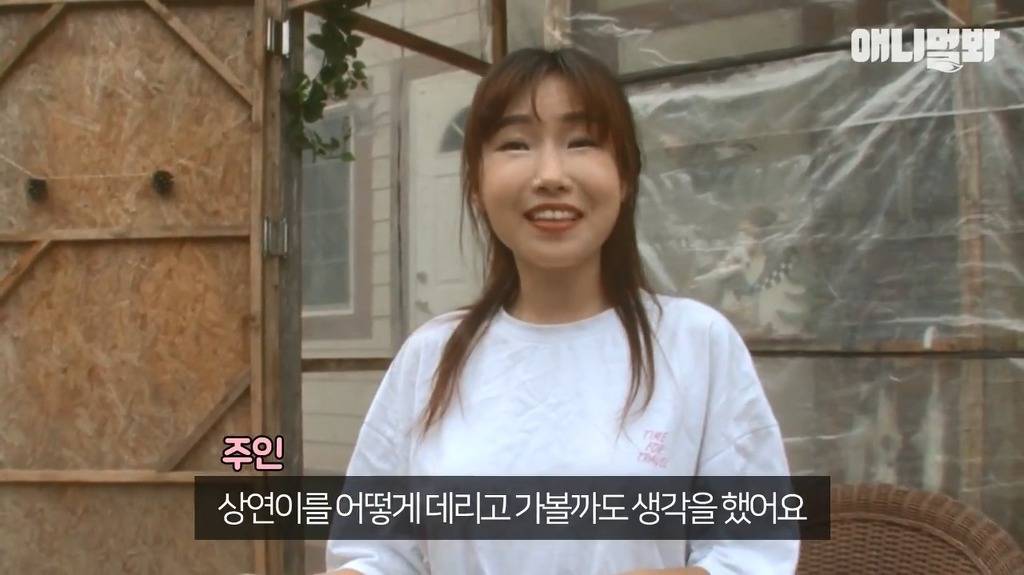 혼자 버스타고 지인 만나러가는 강아지 | 인스티즈