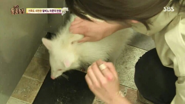 동물농장에 나온 여자 사육사 | 인스티즈