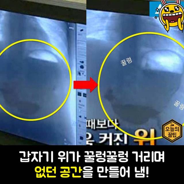 여자들이 밥먹고 또 케익을 먹는 과학적인 이유 | 인스티즈